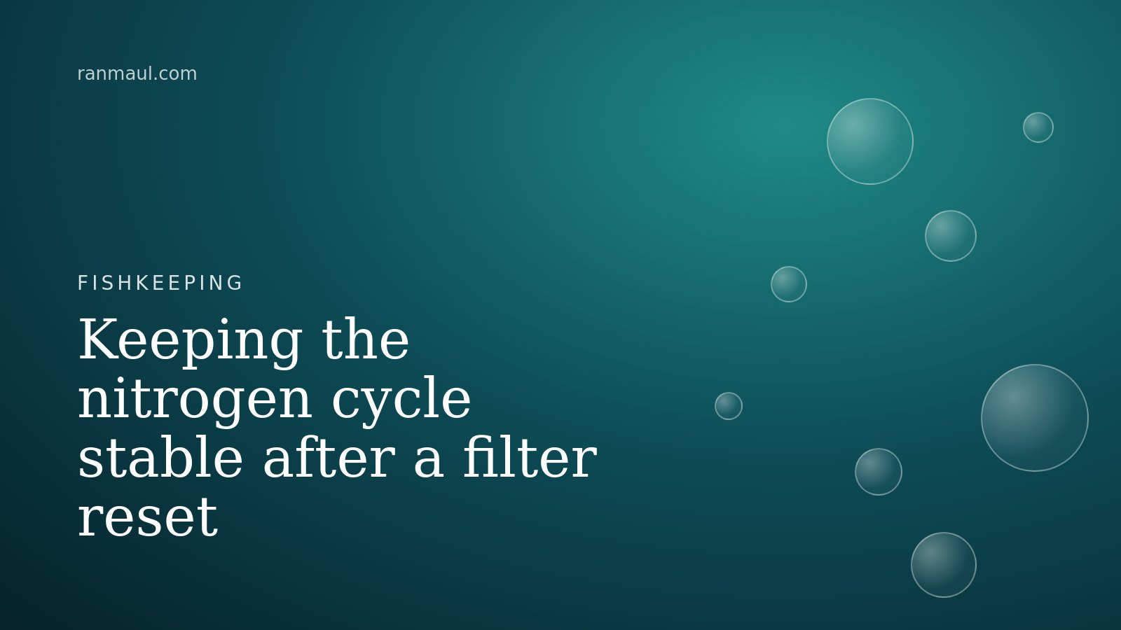 Filter maintenance and water stability tracking